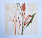 LULI HUNT."  Composição Floral ll ", P.I., serigrafia 35 x 35 cm