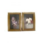 Dois quadros decorativos com orquídeas ,medindo 31 x 22 cm