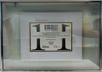 Documento emoldurado - Prêmio Consumidor Moderno - 2010, med. 21 x 31 cm, com moldura 50 x 70 cm. Estado de conservação bom