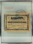 Documento emoldurado - Certificado de Inscrição de Acções Nominales - 1912, med. 16 x 23 cm, com moldura 38 x 30 cm. Estado de conservação bom