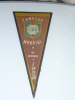 COLECIONISMO. Flâmula  da CBD de Campeão Mundial de 1958 com assinatura bem apagada  de VICENTE VIOLA dentro do escudo da CBD. Alt. 25 cm
