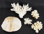 Lote com cinco  corais brancos de diversos tamanhos e modelos, medindo 10 c, e 21 cm ( 2 com pequenos quebrados)