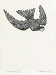 CALASANS NETO. "Céu", xilografia, 35/150, 39 x 29 cm. Assinado e datado, 1976.Emoldurado, 60 x 49 cm.