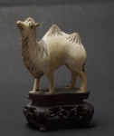 Escultura em marfim representando Camelo . Acompanha peanha de madeira. Alt. total 7,5 cm.