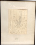 ALICE. "Vaso de espada de São Jorge", gravura, 30 x 23 cm. Assinado.  Emoldurado com vidro,  58 x 46cm.