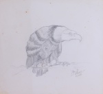 DANIEL AZULAY- " Àguia" desenho a lápis de 12/11/1983, assinado, medindo 33x30 cm. Preço de avaliação R$ 200,00