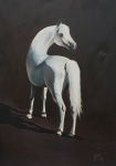 J. VIEIRA - Cavalo Árabe, AST, med. 100 x 71 cm e 105 x 76 cm com moldura, ass. e datado no CID e verso, 1998.