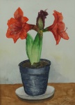 VIOLETA. "Vaso de Flores", Aquarela, assinado no CID  e datado 2010, medindo 31 x 22 cm. Emoldurado, medindo 49 x 41 cm, no estado.