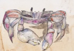 ALDEMIR MARTINS - " Caranguejo" nanquim, medindo 35x50 cm. Emoldurado, 53x67 cm.