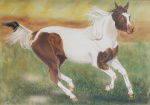 WALTER ROMULO . "Cavalo árabe", pastel,  49 x 68 cm. Assinado no CID. Emoldurado com vidro,  57 x 76 cm.