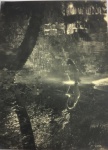 Francisco Aszmann - " Banhando"  fotografia medindo 40x29 cm