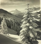 Walter Nissen - "Inverno"  fotografia medindo 19x17 cm