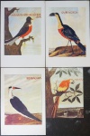 Quatro reproduções de pássaros. Medida: 35x26cm.