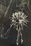 FRANCISCO ASZMANN. Foto montagem em preto e branco, 39 x 26 cm. (marcas do tempo). Emoldurada com vidro, 50 x 40 cm.