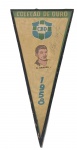 COLECIONISMO. Flâmula "Coleção de Ouro" da CBD da Copa Mundial de 1958 com estampa da face do jogador NILTON SANTOS autografada ( Nilton dos Santos). (Bom estado) . Alt. 30 cm.