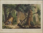 "Brésil. Danvin,Del. Ch Latarsse, SC. Forêt ouverte Le long du Mucuri." Litografia aquarelada,  12 x 16 cm.  Século XIX . Emoldurado com vidro, 27  x 30 cm.
