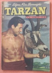 Tarzan n. 28 de out/53 da EBAL em Excelente estado, lombada reta perfeita, grampos originais, único detalhe que o interior de 4 páginas com rasgos SEM perdas, sem isso seria "Banca", 36 páginas.