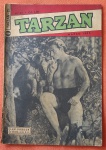 Tarzan n. 21 de mar/53 da EBAL, Ótimo estado, lombada reta aberta na extremidade inferior SEM perda, grampos originais começando a oxidar, sem riscos, rasgos ou manchas, com 36 páginas.